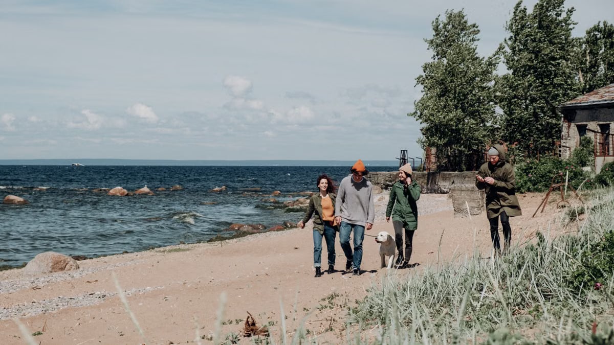 Four adults walking on a beach with a dog during the day.